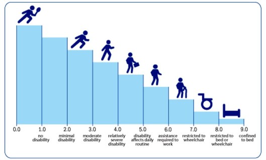 EDSS scale